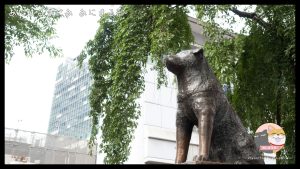 dcc2523c8d338933223cd1e0fa8ebc