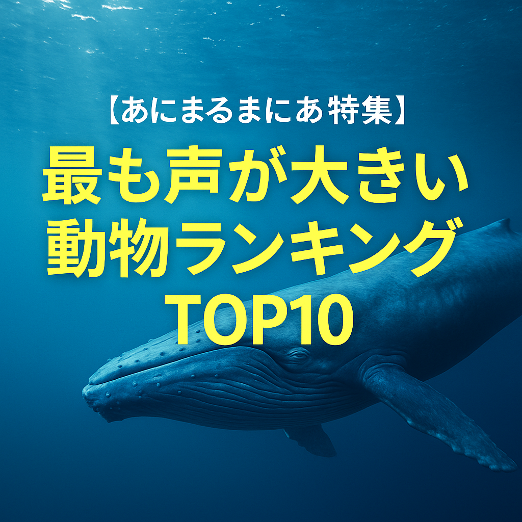 最も声が大きい動物ランキングTOP10を紹介する特集記事のアイキャッチ画像。クジラを背景に青いデザイン。