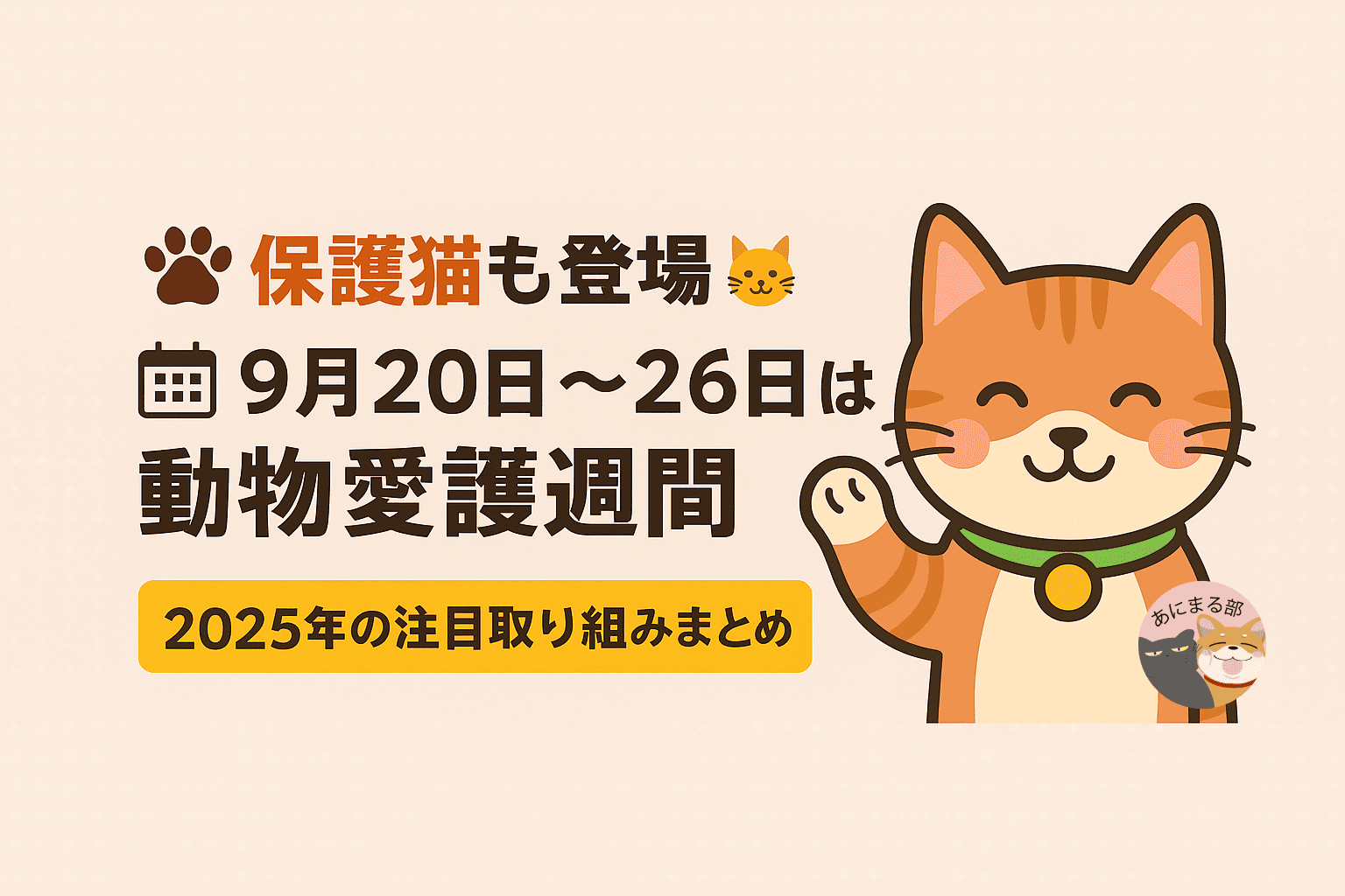 2025年動物愛護週間のアイキャッチ。9月20日〜26日と記された日付と、にっこり笑う保護猫のイラストが描かれているデザイン