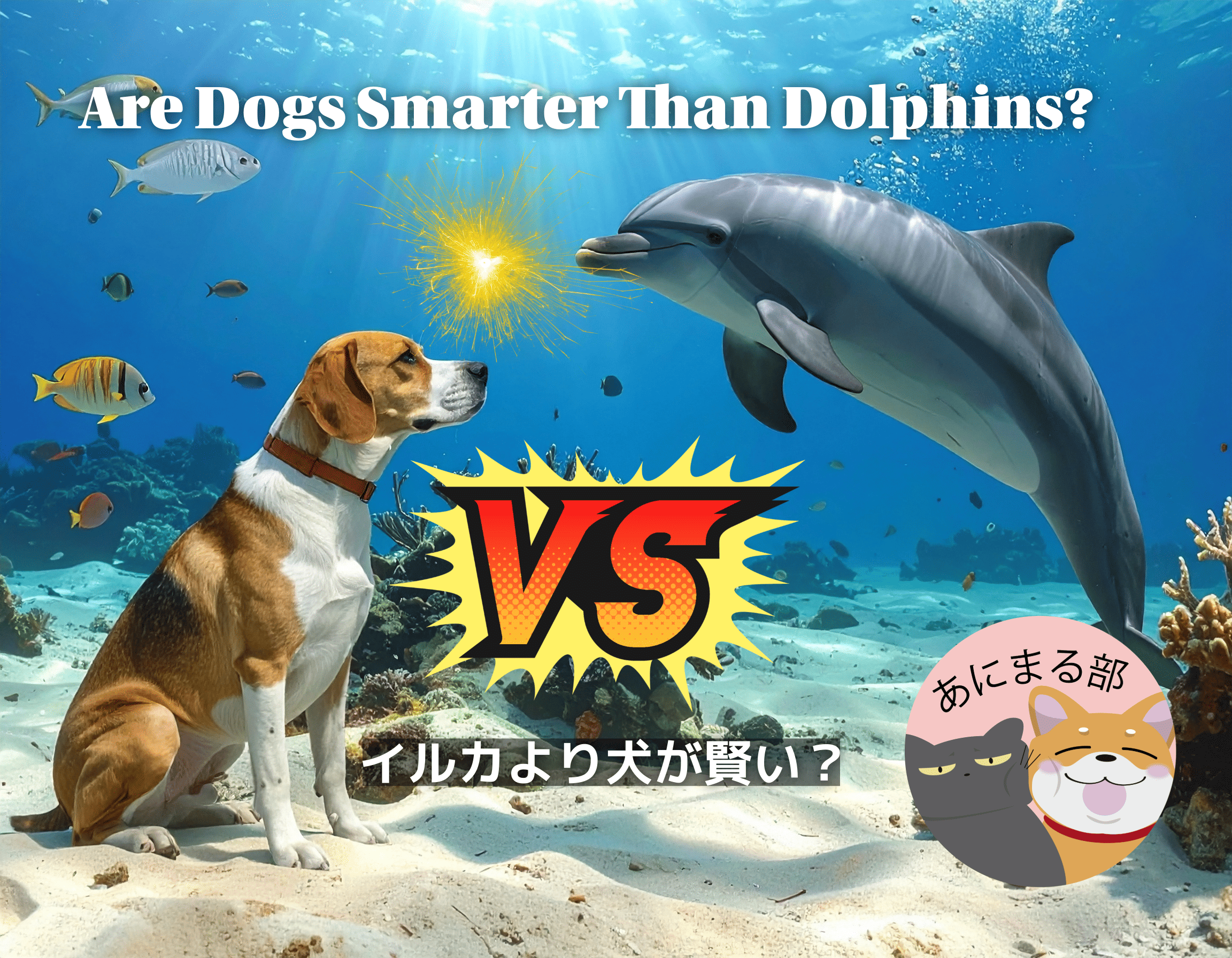 イルカより犬が賢い？EQ（脳化指数）とIQで見る動物の知能比較