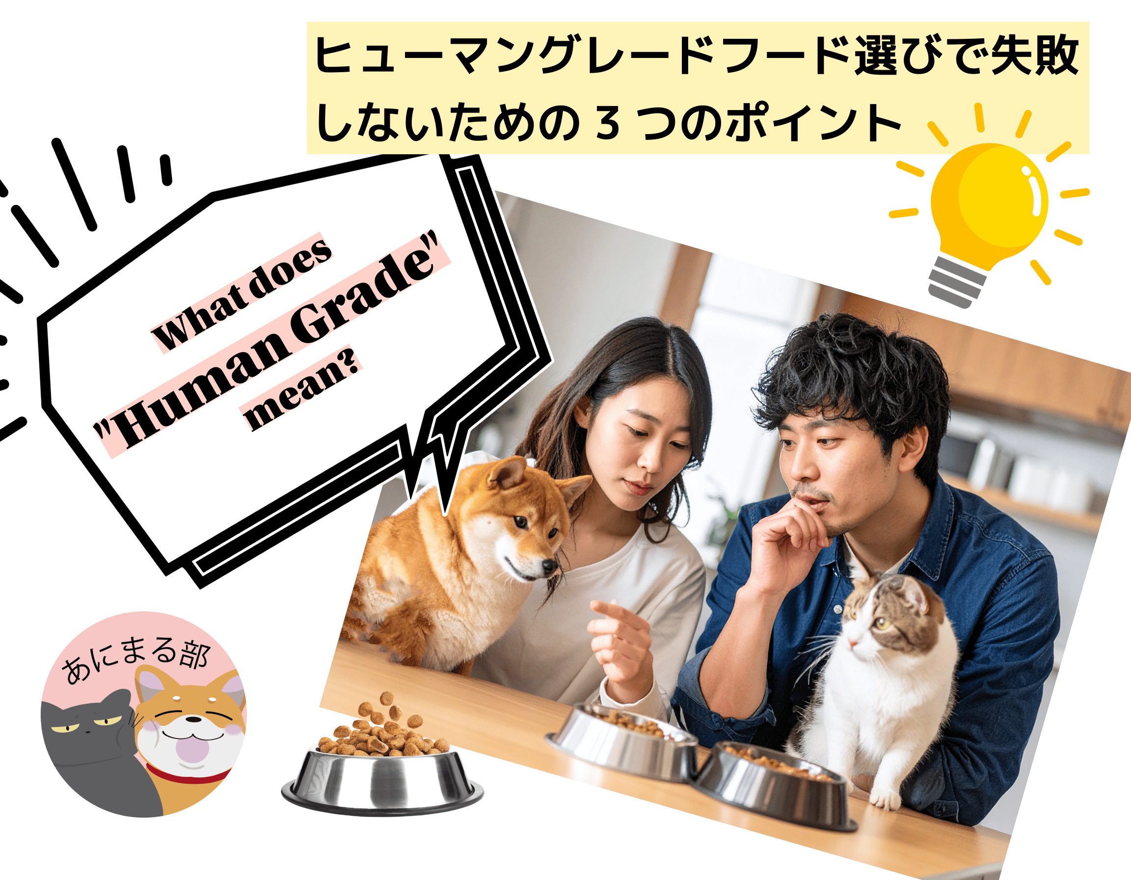 ヒューマングレードのペットフードとは？人間用レベルの基準と注意点を解説するイメージ