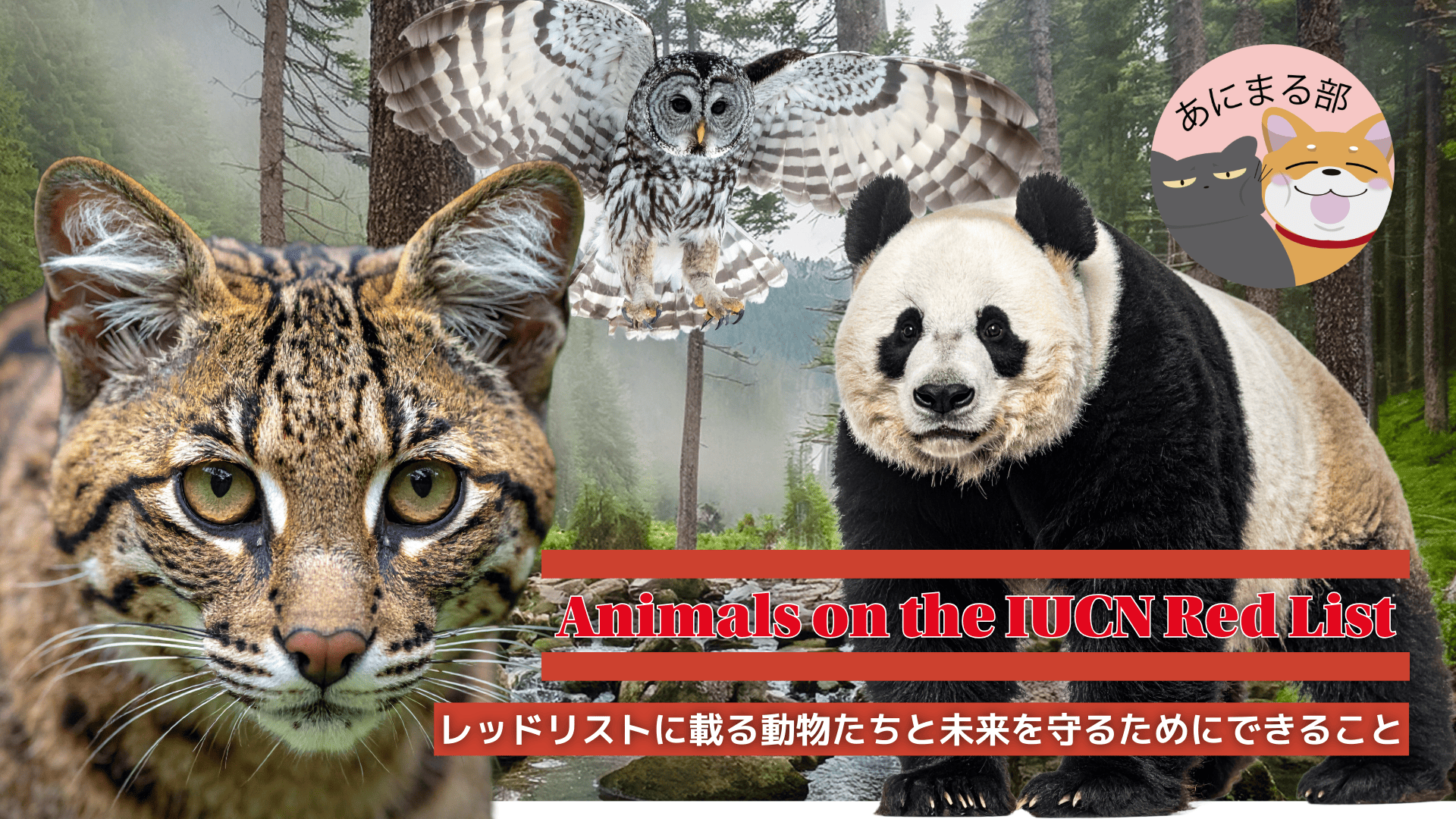 イリオモテヤマネコ、ジャイアントパンダ、フクロウなど絶滅危惧種の動物たちが森の中に描かれたイメージ。IUCNレッドリストに掲載される動物を象徴的に表現。