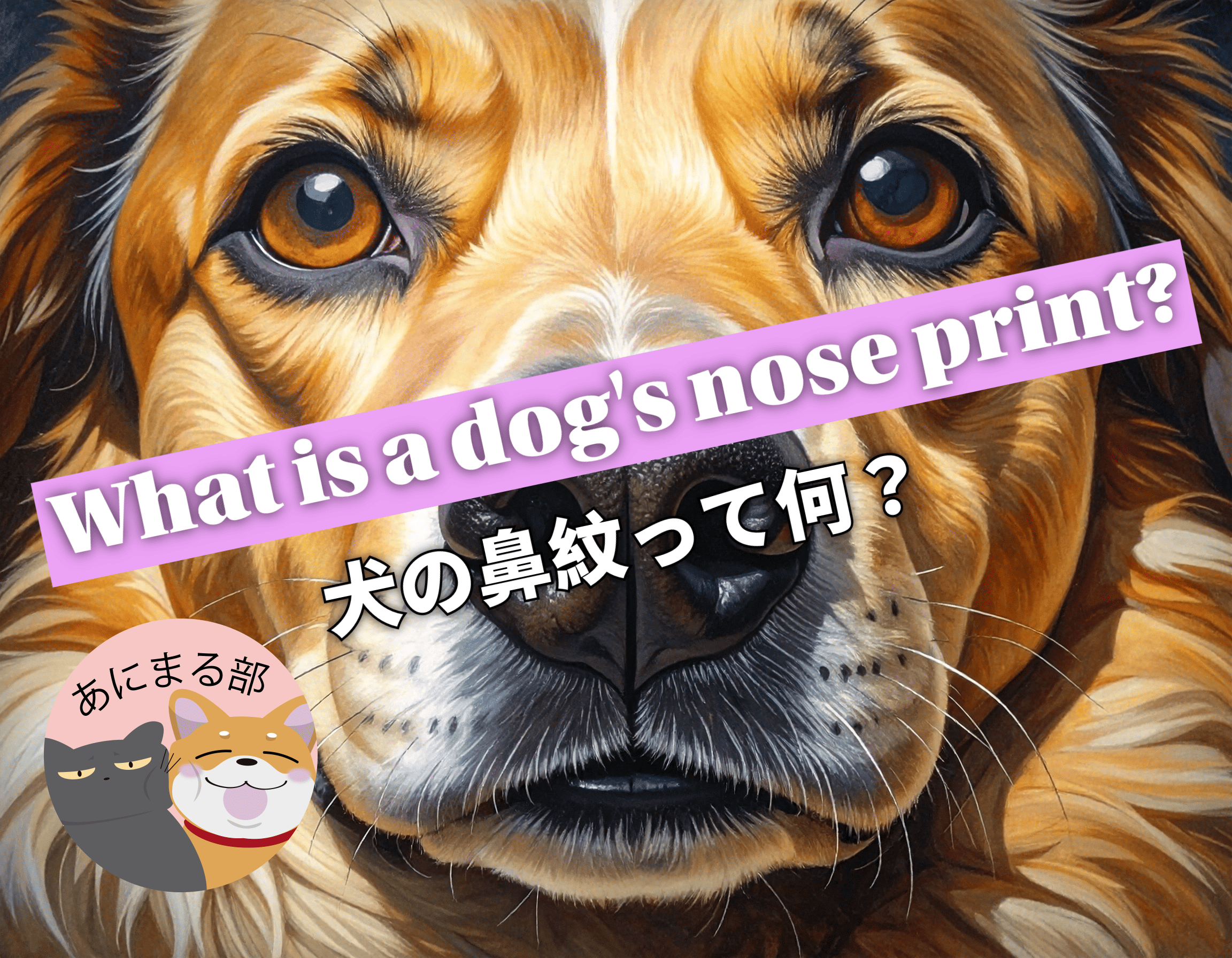 犬の鼻に刻まれた唯一無二の模様「鼻紋」をクローズアップした写真