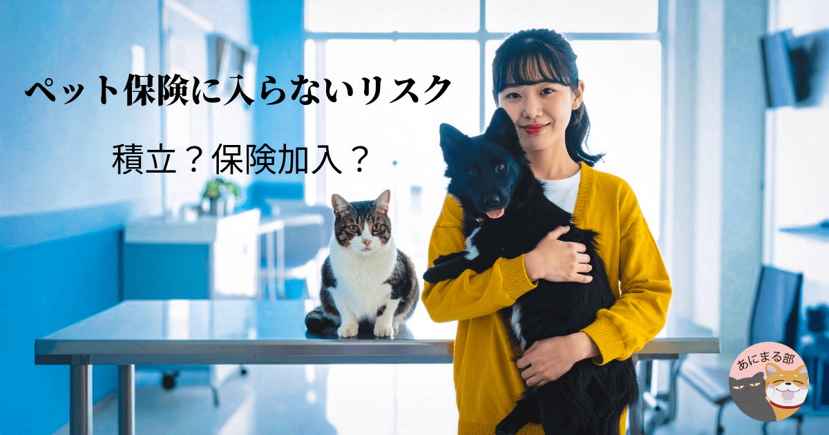 犬と猫と飼い主が動物病院にいる写真。「ペット保険に入らないリスク 積立？保険加入？」の文字入りアイキャッチ画像