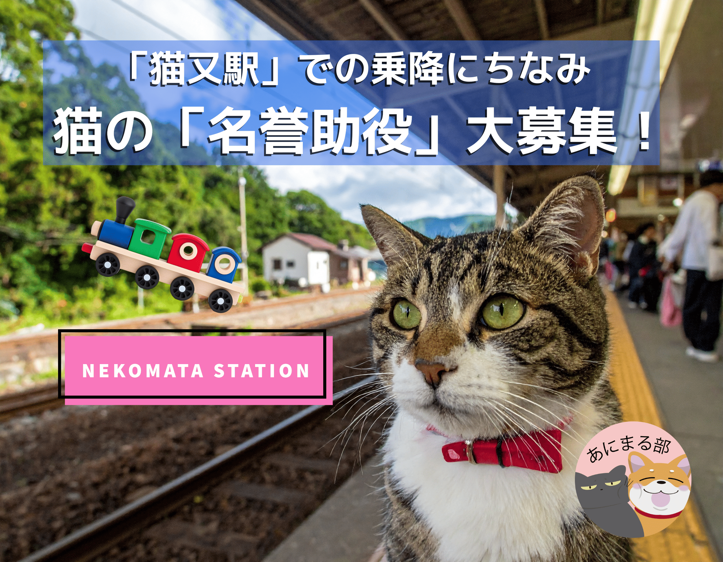 愛猫が黒部峡谷鉄道「猫又駅」の名誉助役に任命される特別企画のイメージ