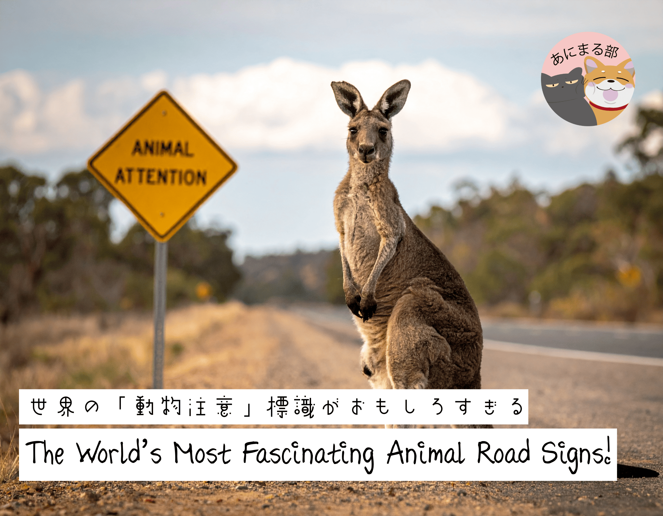 世界各国の「動物注意」標識。オーストラリアのカンガルー、アフリカのゾウ、ニュージーランドのペンギン、アイスランドのヒツジ、日本のシカなど、各国の個性的な標識が並ぶ。