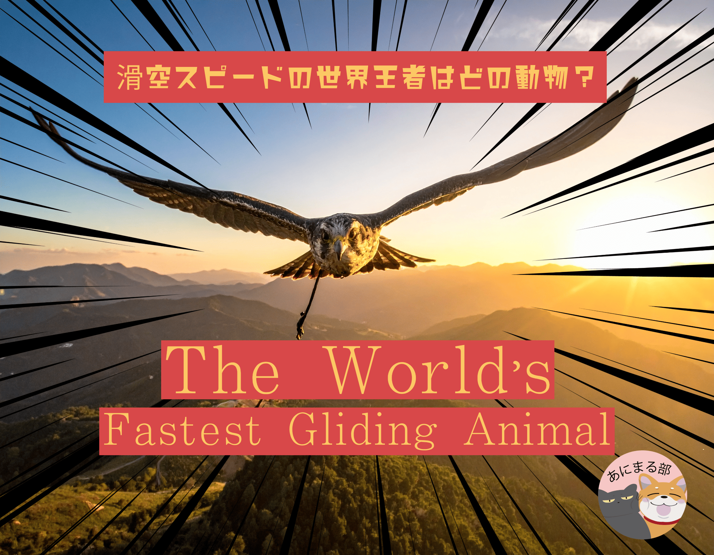 空を滑る動物たちの滑空速度ランキング。ハヤブサやアホウドリなど、飛ぶよりも速い滑空スピードを持つ生き物たち。