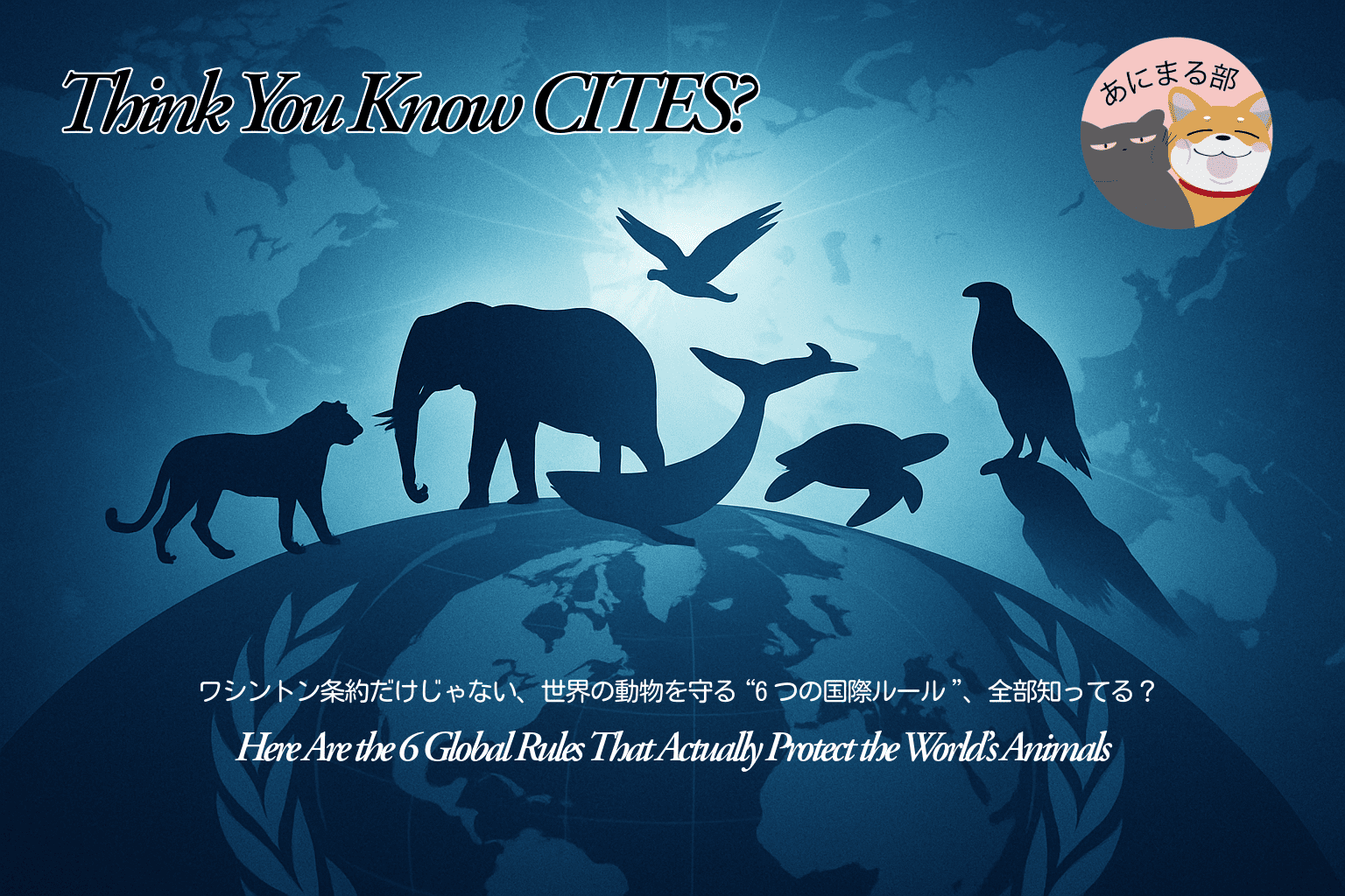 世界の動物を守る6つの国際条約を象徴する地球と動物シルエットのイメージ。ワシントン条約、生物多様性条約、ボン条約、ラムサール条約、IWC、BBNJを表す動物たちが地球の周囲に配置されている。