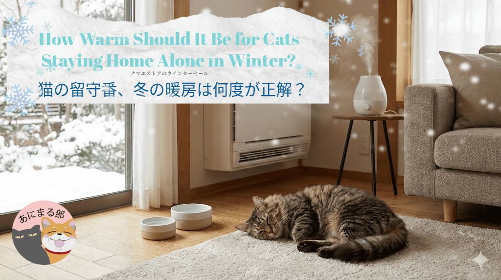 冬の室内で、床付近に置かれた水皿と加湿器のそばで、猫が安心した様子でくつろいでいる。留守番中でも安全な暖房環境を整えているイメージ。