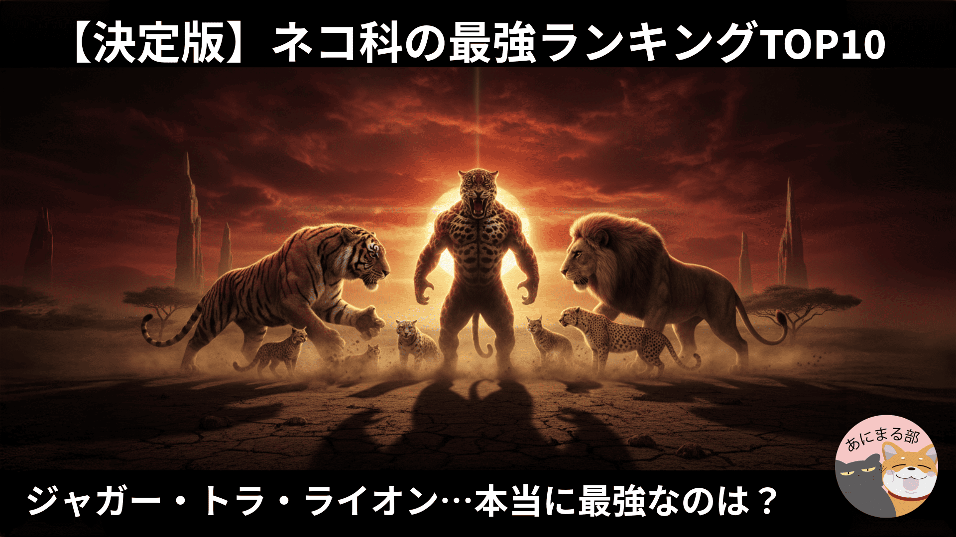 ネコ科最強ランキングのイメージとして、夕暮れのサバンナでトラ・ジャガー・ライオンが対峙する映画ポスター風の迫力あるビジュアル。